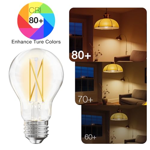 24 Pack A19 Vintage LED Edison Bulbs (24 Count)