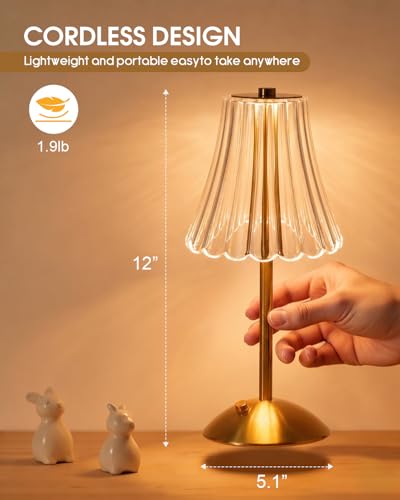 Rechargeable Cordless Table Lamp