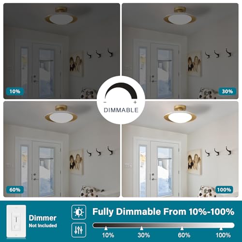 Dimmable Modern LED White and Gold Ceiling Light Fixture 11.81 in