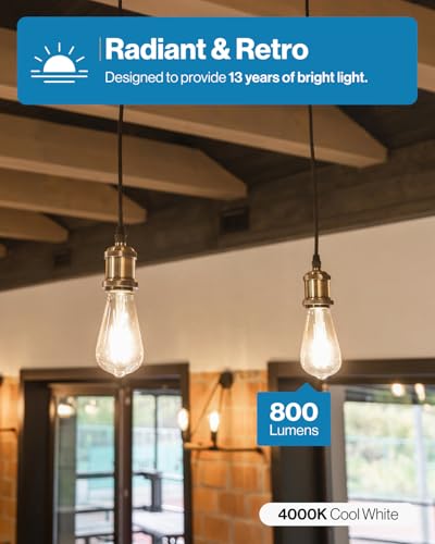 Sunco 30 Pack Edison Bulbs LED ST64 (30 Count)