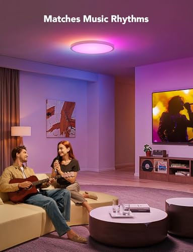 Smart Ceiling Light