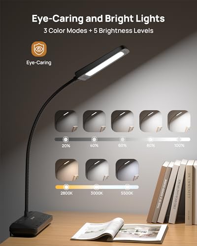 LED Desk Lamp with Clamp Power Strip