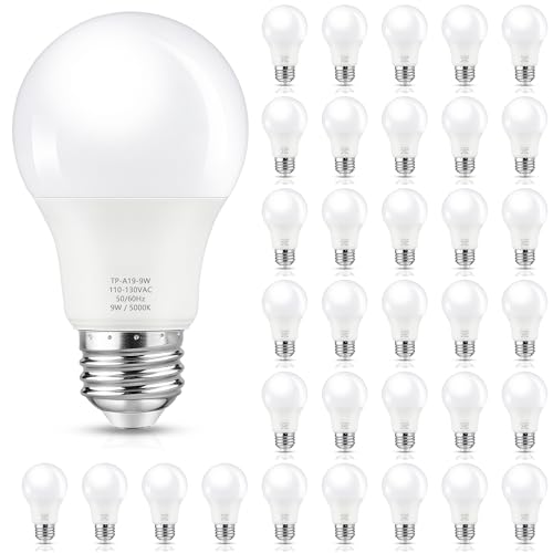 A19 LED Light Bulbs (35 Count)