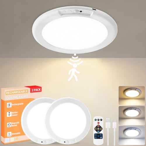 2Pack Rechargeable LED Ceiling Light (2 Count)
