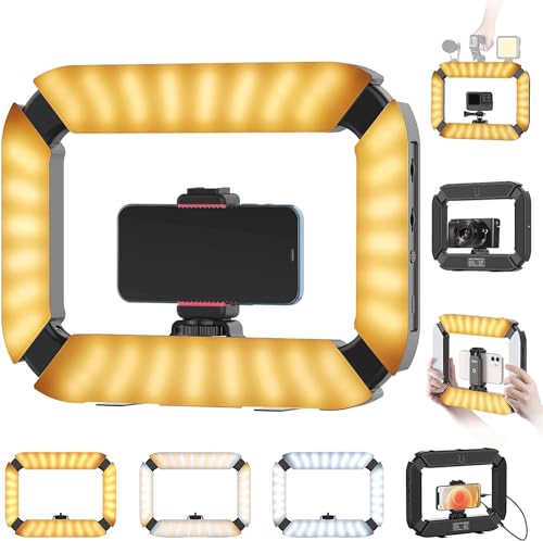 Smartphone Video Rig PICTRON U200 Handheld LED Ring Light Selfie Light