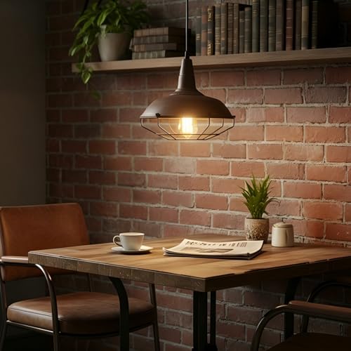 Barn Style Pendant Light Farmhouse Caged Pendant Lighting Industrial Metal Wire Hanging Pendant Light Barn Pendant Light Fixtures for Kitchen Island Hallway Foyer