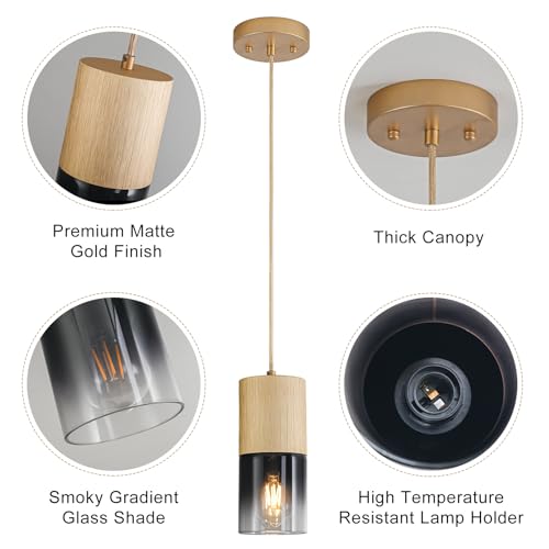 Gold Pendant Light Fixtures