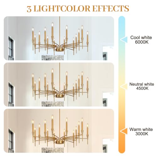 Dining Room Chandelier Light Fixture 14 Lights Gold Modern Chandeliers