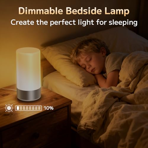 Table Lamp Bedside Touch Control Lamp for Bedroom 3 Level Dimmable Warm White Lights with 256 RGB Color Mode Modern Deisgn Smart Nightstand Desktop LED Lamps Portable for Read