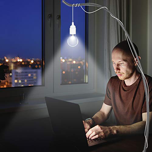 Hanging Light Cord 2 (2 Count)