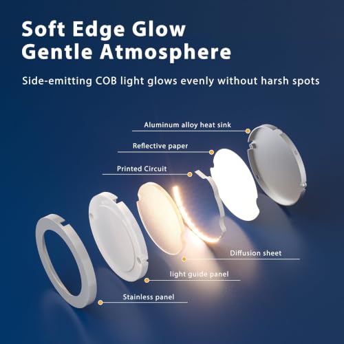 LED Puck Lights (6 Count)