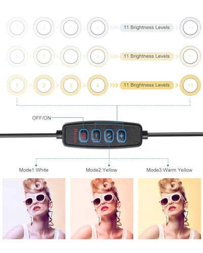 Video Conference Lighting Kit