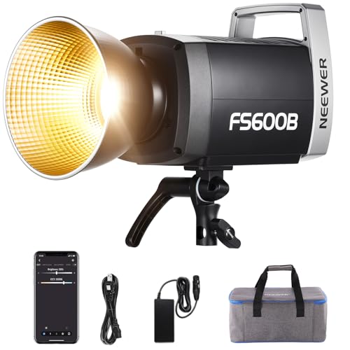 600W LED Studio Video Light 2.4G