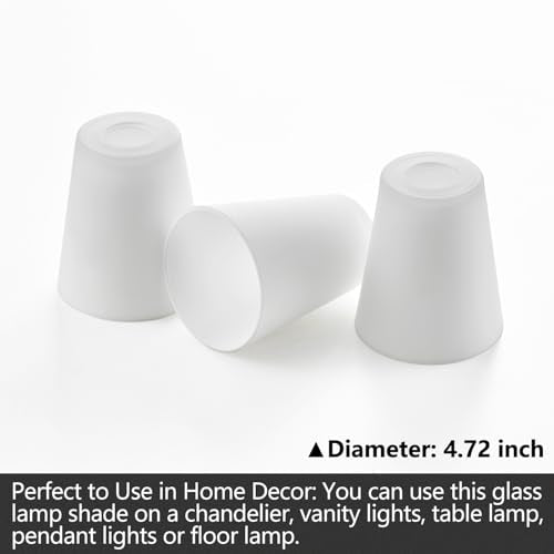Fixture Replacement Frosted Glass Shade (6 Count)