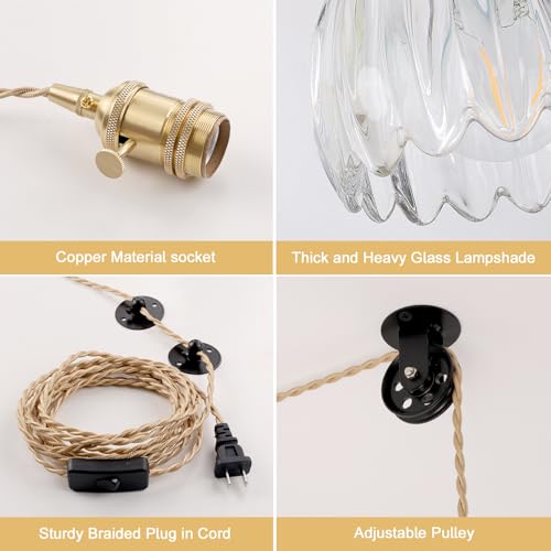 Plug in Pendant Light Hanging Light Fixture Corded On
