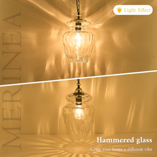 Farmhouse Black Glass Pendant Light