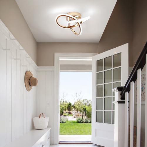 Modern LED Ceiling Light
