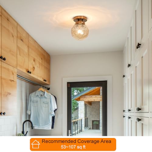 Semi Flush Mount Ceiling Light