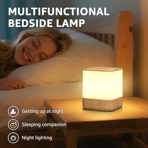 2 Pack Rechargeable Small Night Light Touch Dimmable Cordless Lamp (2 Count)