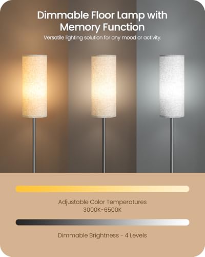 Dimmable Floor Lamp for Living Room with RGB Colors