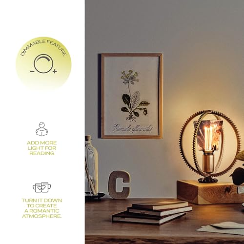 Decorative Light Bulb Eq 20W ICE Style Shaped E26 Led Bulb Medium Base (3 Count)