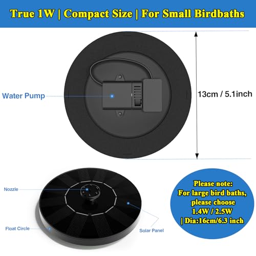 Solar Fountain (6 Ounce)