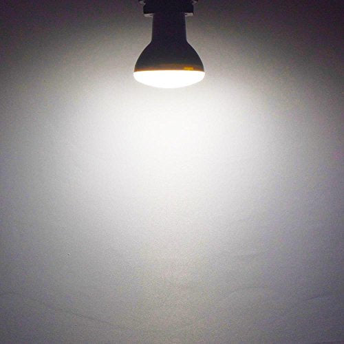 BR20 LED Light Bulb