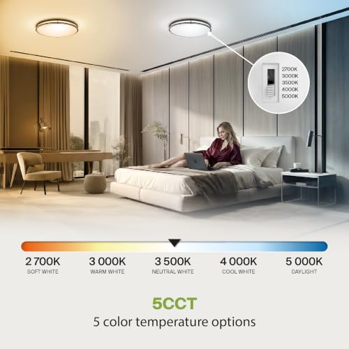LED Flush Mount Lighting