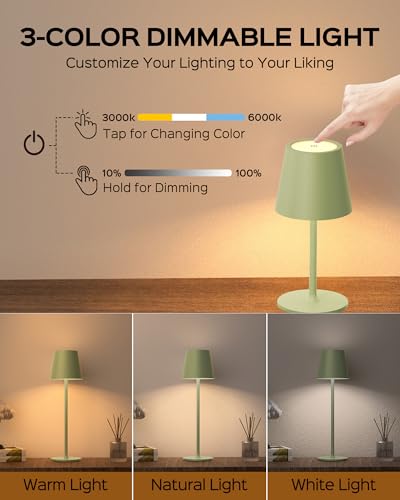 Cordless Table Lamps Rechargeable (2 Count)