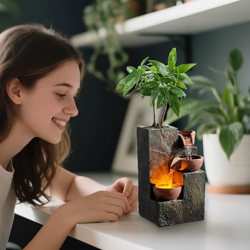 Tabletop Water Fountain