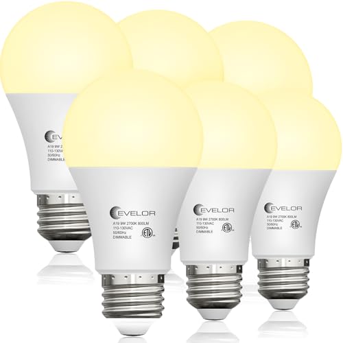 6 Packs LED Light Bulbs (6 Count)