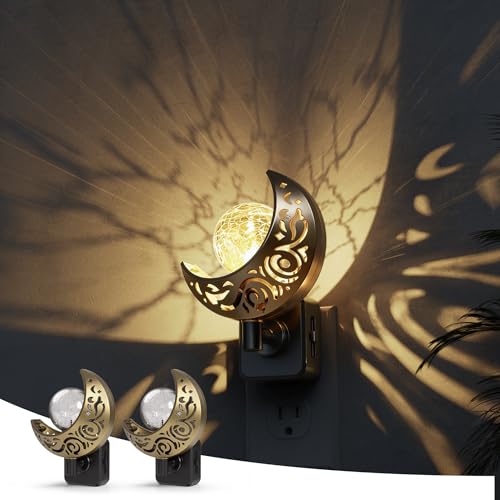 Night Lights Plug into Wall Moon Sphere Decor Night Light (2 Count)