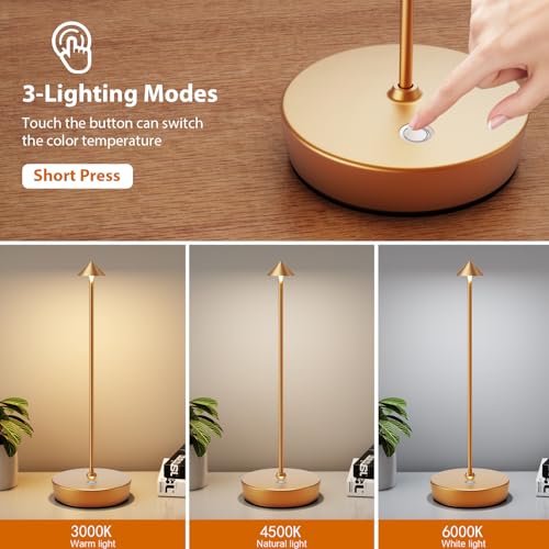 2Pack Rechargeable Cordless Table Lamp (2 Count)