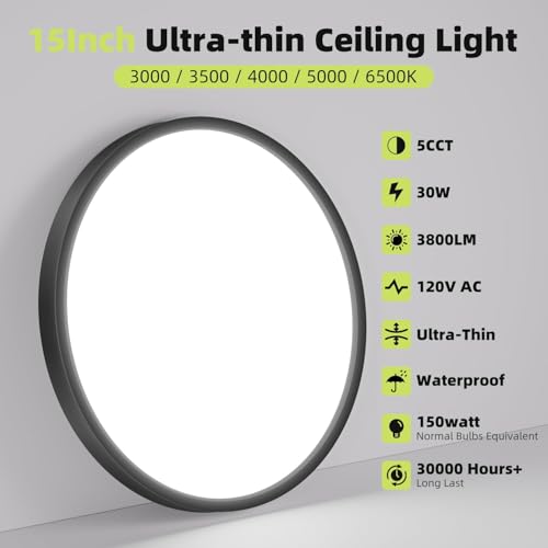 LED Flush Mount Ceiling Light