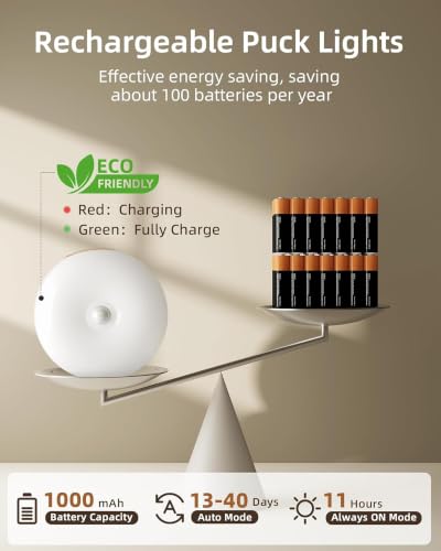 Under Cabinet Lighting with Charging Station (6 Count)