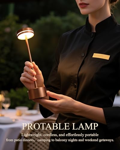 2 Pack LED Cordless Table Lamp Rechargeable (2 Count)