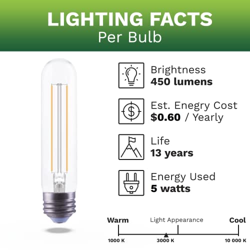 T10 LED Filament Bulb Dimmable 450 Lumen Soft White 3000K Light 4W = 40W T10 LED Edison Bulb