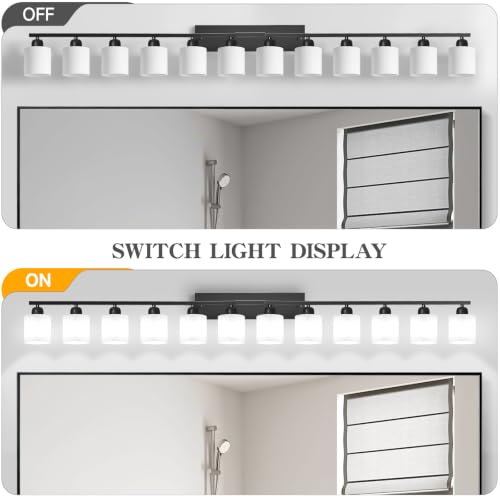 12 Light Black Vanity Lights for Giant Mirror