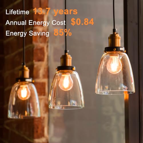 A19 LED Edison Light Bulb (6 Count)