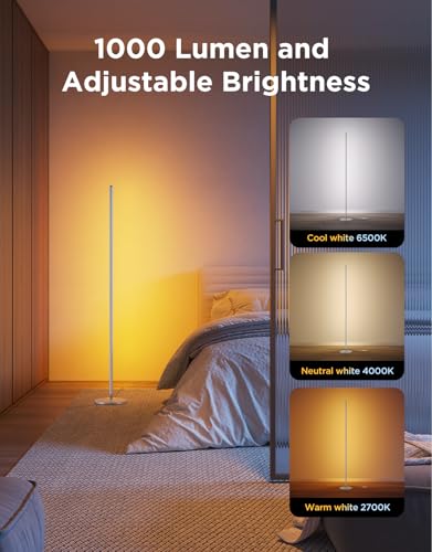 RGBIC Floor Lamp