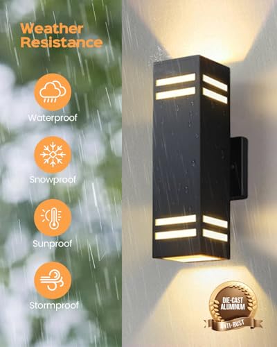 Dusk to Dawn Outdoor Light