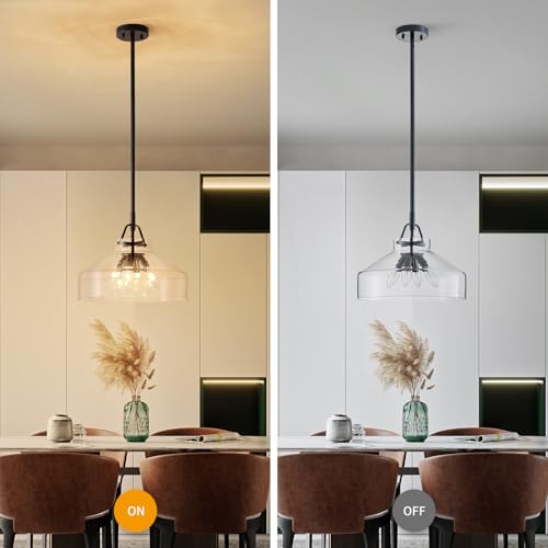 Chandelier Rustic Farmhouse Industrial Round Ceiling Pendant LED Light Fixture with Clear Glass Shades for Dining Room Kitchen Island Foyer Entryway