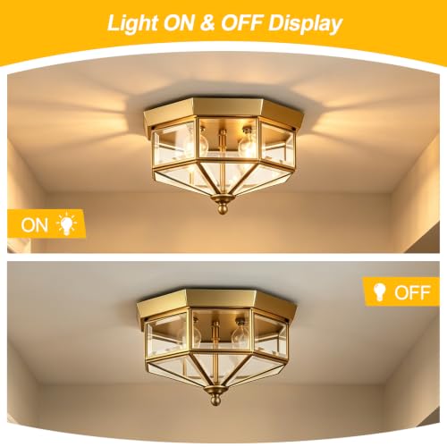 Flush Mount Outdoor Ceiling Light Fixture