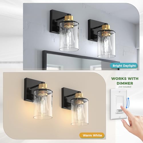 Wall Sconces Set of 2 for Bathroom (2 Count)