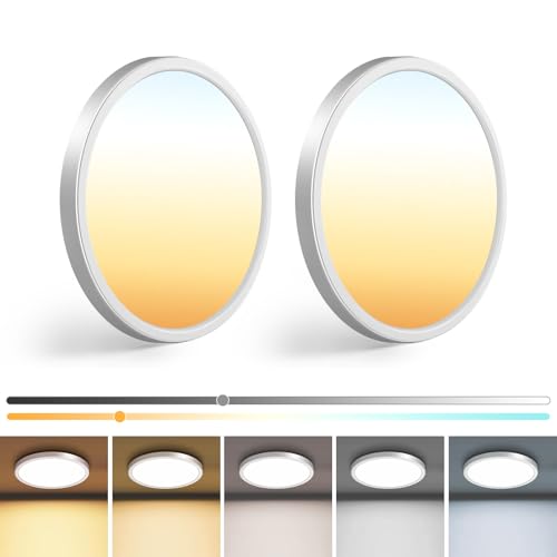2Pack 7 inch Small White LED Flush Mount Ceiling Lights (2 Count)