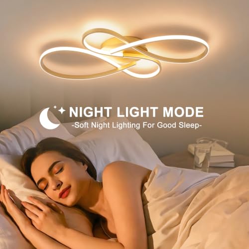 66W Dimmable Modern LED Ceiling Light Fixtures 3000K