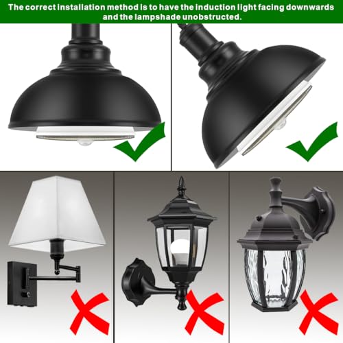 Motion Sensor Light Bulbs (3 Count)