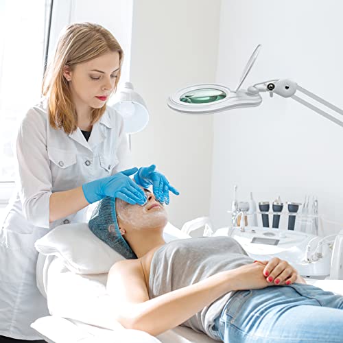 Bifocal LED Magnifying Lamp with Clamp