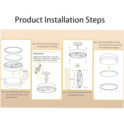 Flush Mount Ceiling Light