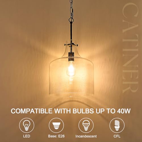 12" Farmhouse Seeded Glass Pendant Light